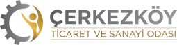 Çerkezköy TSO